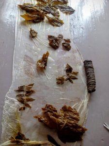 Eco-dye September 2015 c