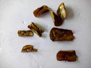 Eco-dye September 2015 l